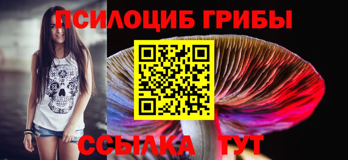 Псилоцибиновые грибы Psilocybe Магнитогорск